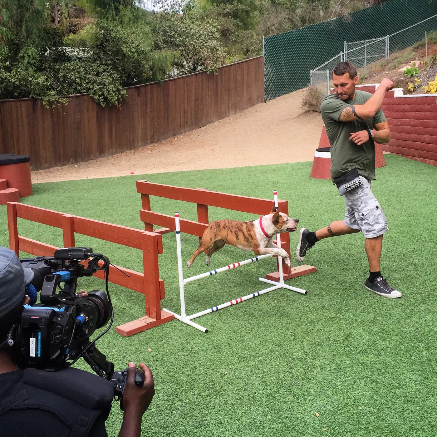 Brandon McMillan coaching a dog over an agility jump as a camera films