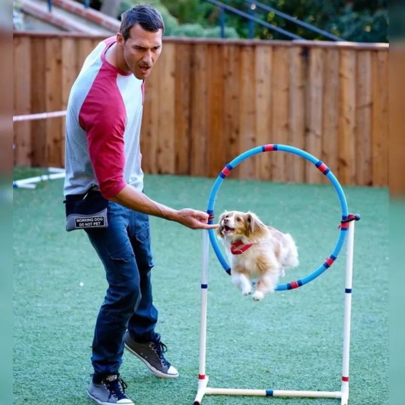 Brandon McMillan training a small dog to jump through a hoop