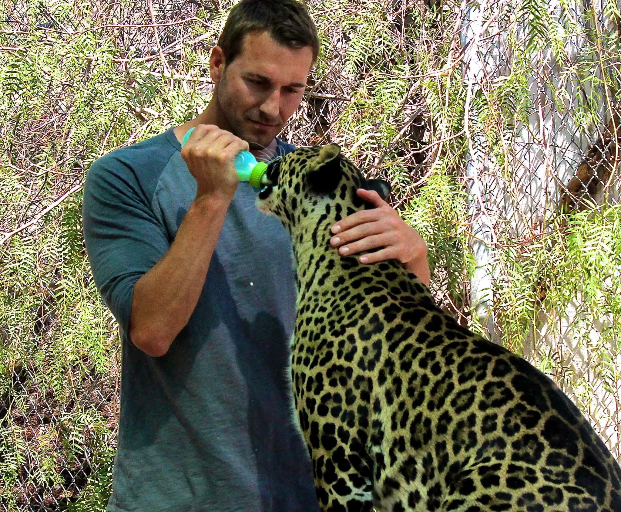 Brandon McMillan kneeling beside a leopard