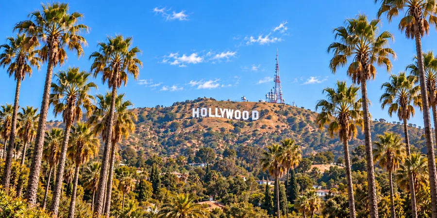 Palm trees and the Hollywood Hills