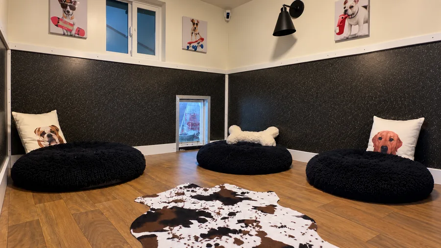 Dog suites with oversized beds and cowhide rug