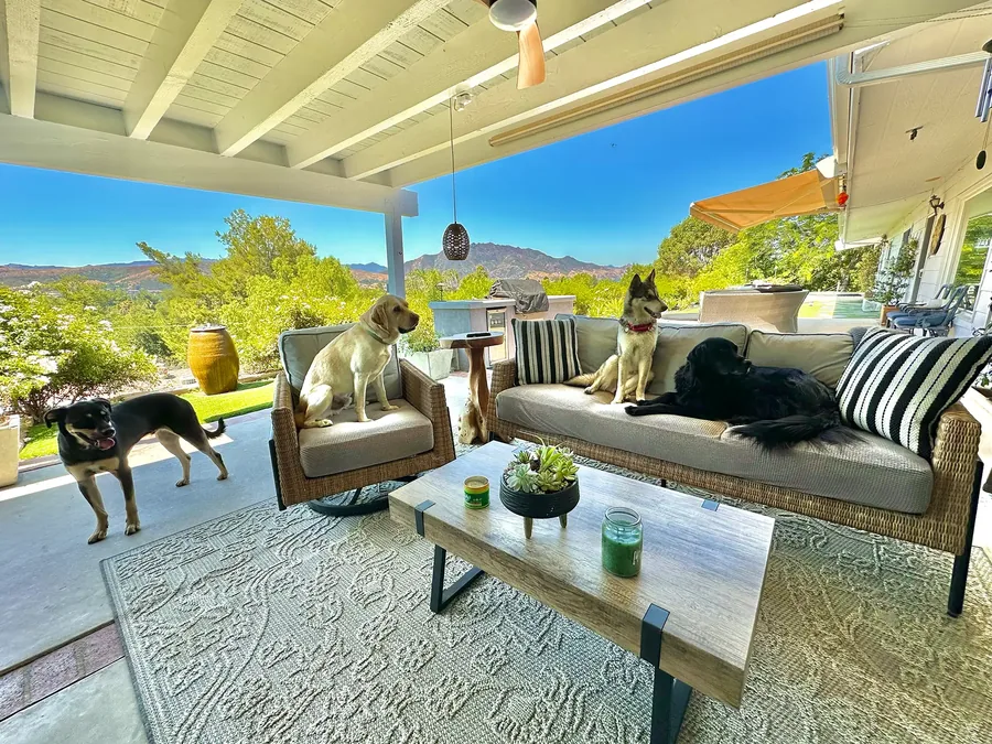 Covered lanai with dogs relaxing