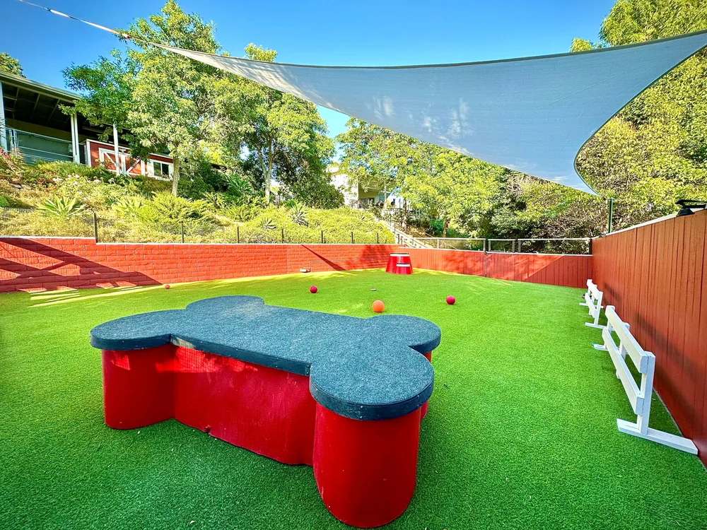 Shaded play yard with bone-shaped bench