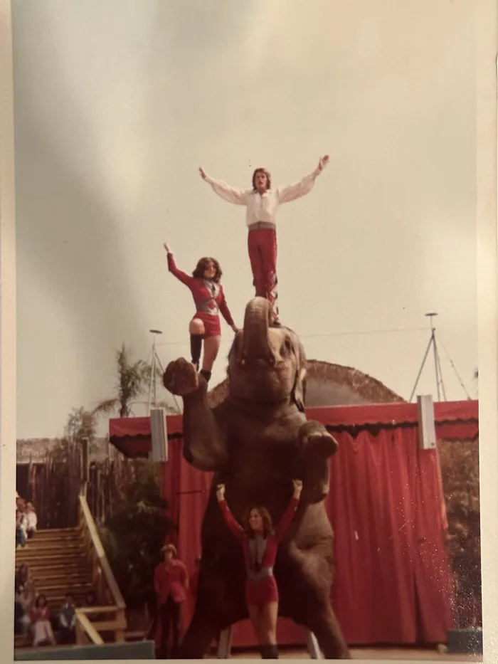 Archival photo of an elephant act