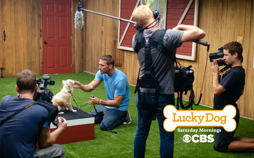 A film crew recording Brandon McMillan training a small dog on the Lucky Dog set