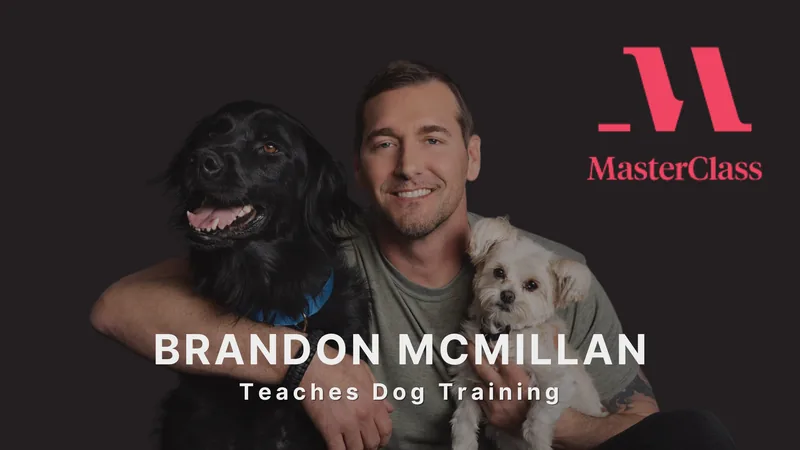 Brandon McMillan Teaches Dog Training on MasterClass