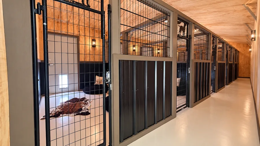 Corridor of black and wood dog suites