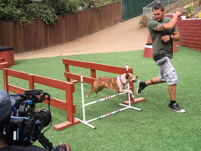 Brandon McMillan guiding a dog over an agility jump while a camera films
