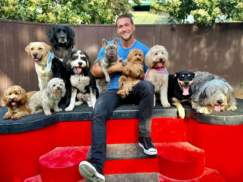 Brandon McMillan with a group of dogs on the red bench at the Lucky Dog Ranch