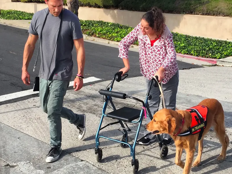 Brandon McMillan training a mobility service dog to walk beside a woman using a walker
