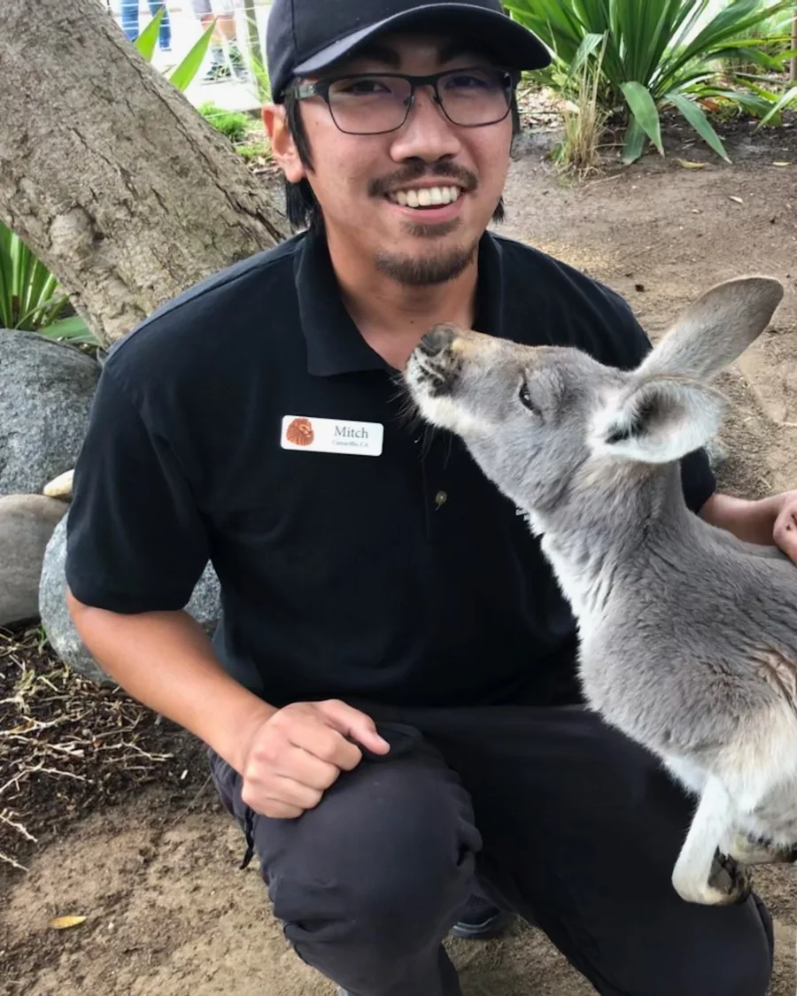 Mitch crouching beside a kangaroo
