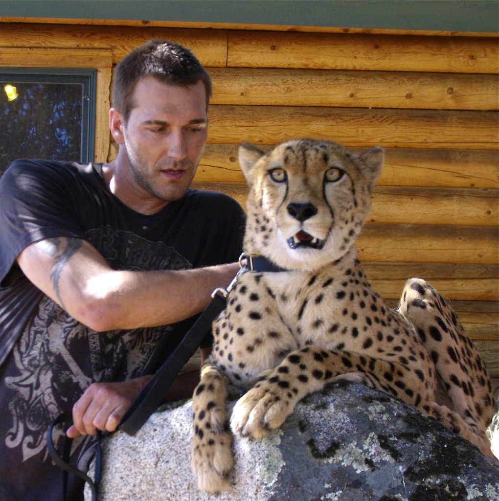 About Brandon McMillan's Canine Minded