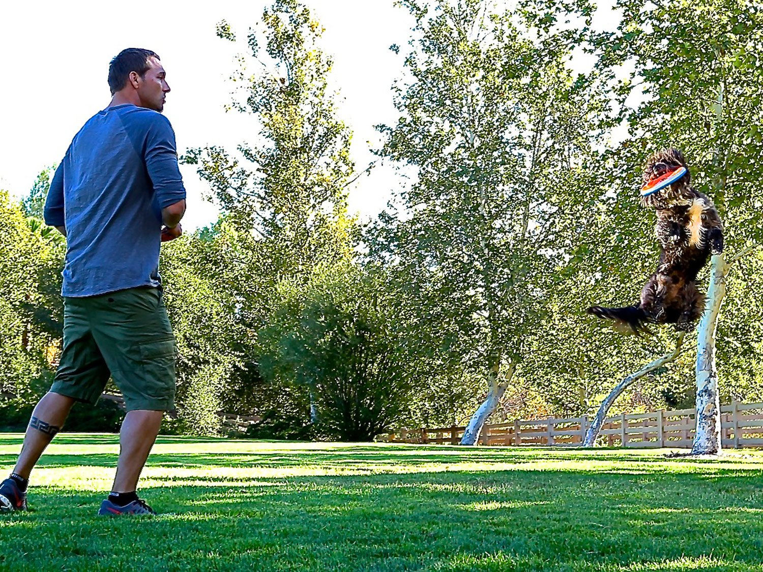 Dog Training Brandon McMillan's Canine Minded