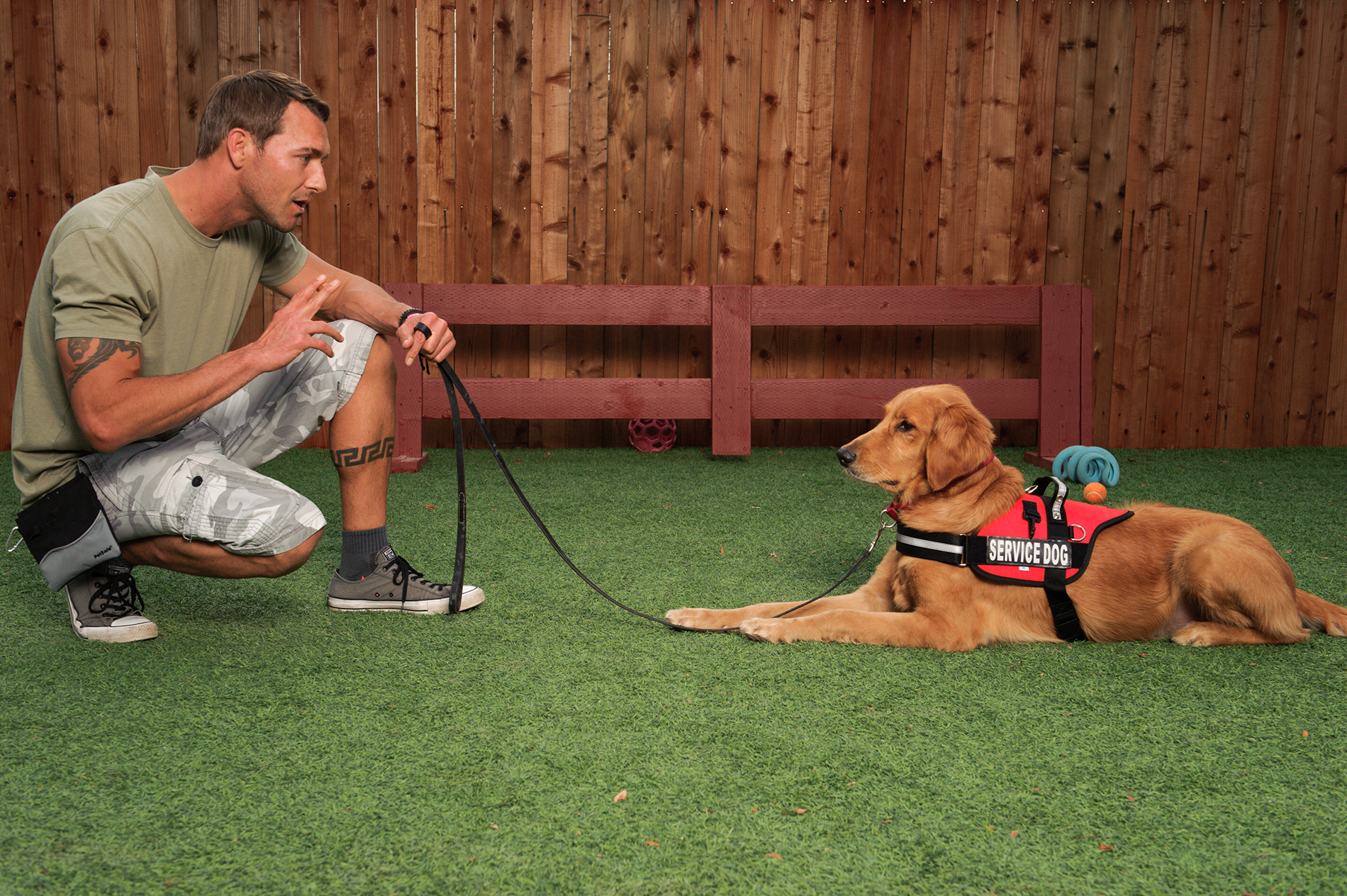 Brandon McMillan's Canine Minded Service Dog Training I