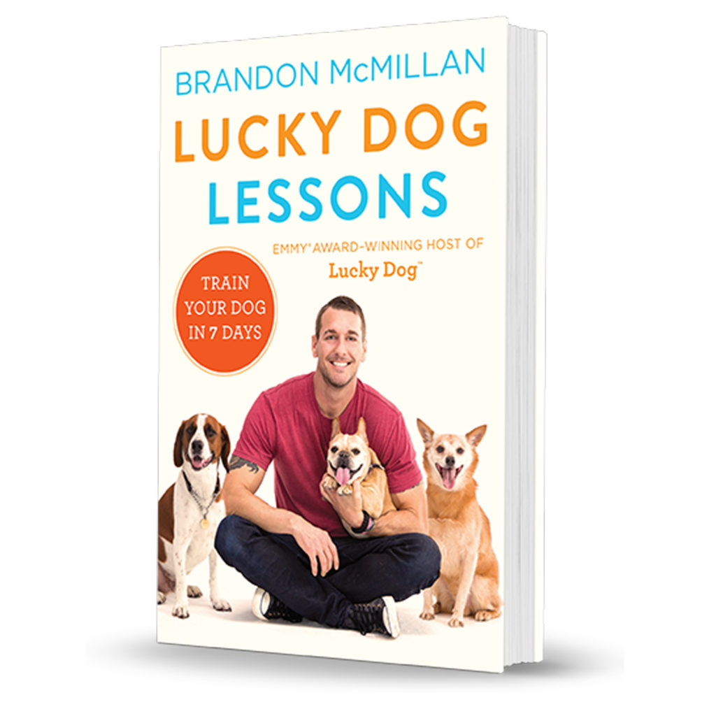 Brandon Mcmillan S Canine Minded Lucky Dog Lessons I Book By