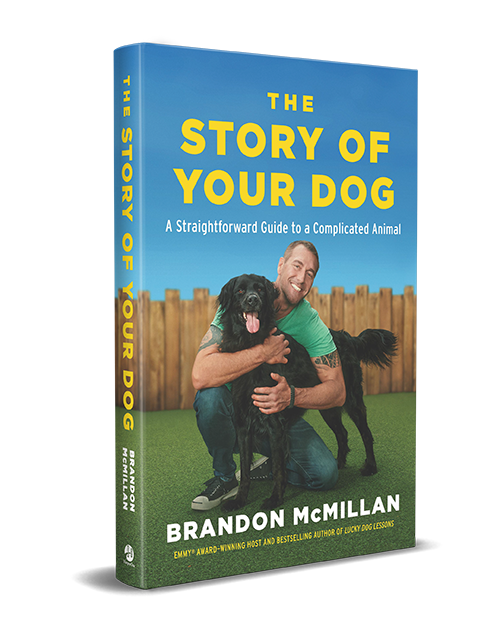 Brandon McMillan Book