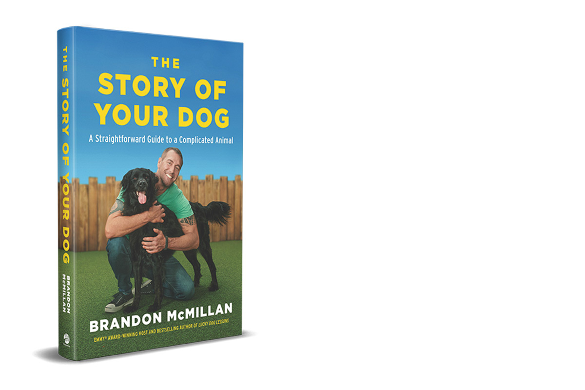 The Story Of Your Dog