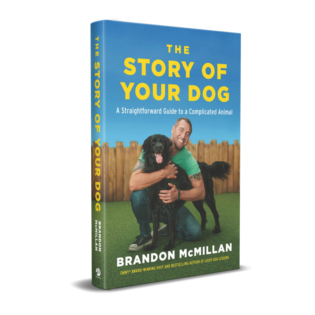 Shop - Brandon McMillan's Canine Minded